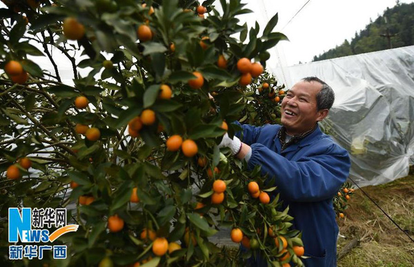 �ڹ����ڰ��ش���϶���϶��ͣ�һ����ũ�ڲ�ժ���٣�12��19���㣩��