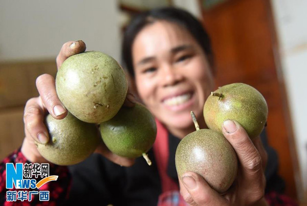 �ڹ����������½��������壬����ũ���ּ���ջ����İ������11��24���㣩��