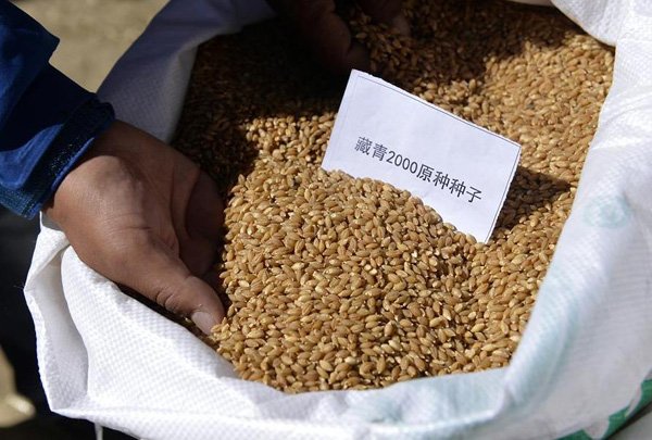 1028ذذ´󻧴޶ġ2000ԭӡ