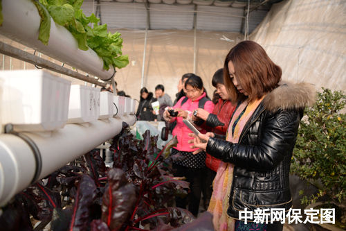 ӱطչɫлũҵ ũ356