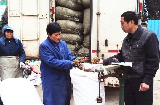 ���������ػ�������ũ��רҵ������