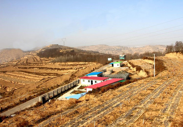 ʹл磺תƶγɾ׼ЧӦ