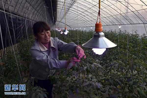 1229գںӱǨũҵ԰ũװСֲơĴڹʩ߲ˡ