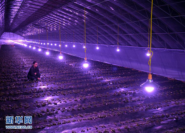 1229գںӱǨũҵ԰ũװСֲơĴڹʩ߲ˡ