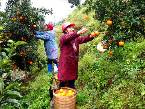 14գƽˮˮ壬ũڲժո̡