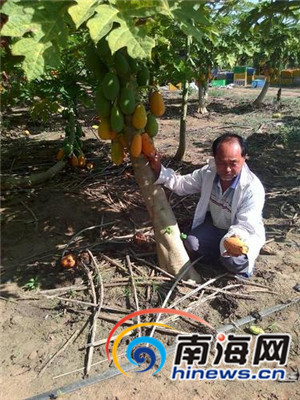 ϲ80Ķľϱ߳ ũεͼ·