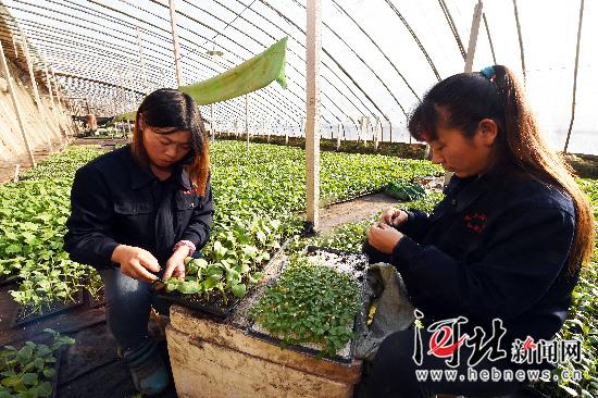 Ϻغ뽡عڼ޽ӻƹ硣