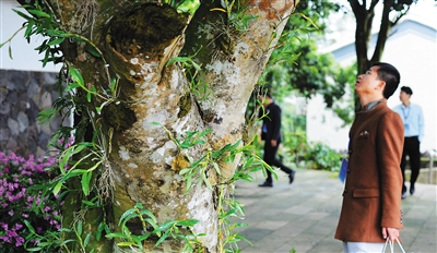 ���Ϻ��ڣ�����ʯ���ܺá��ޡ�