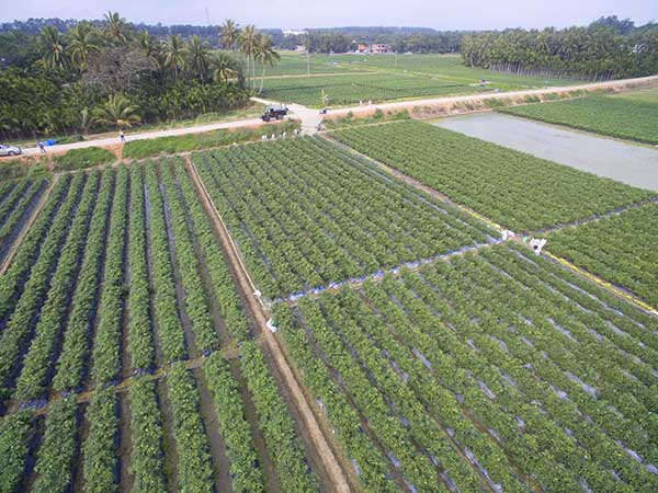 110գʡвȺڽժװ׼ˡ