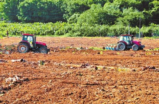 ϾУִũҵһꡪԭɫũҵƮķ