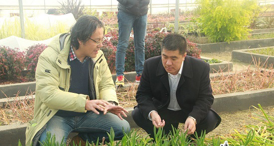 上海以新的发展理念引领生态观光农业发展