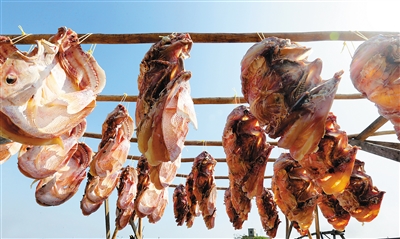 �������ݣ�����Ʈ�����ⳤ