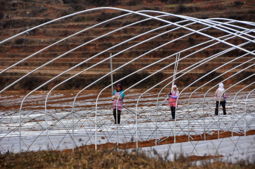 111գʡزݺîشũڴĤǡֲʩ