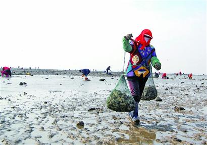 ɽൺתҰӷ Сʱջϰٽ