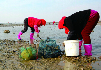 ɽൺתҰӷ Сʱջϰٽ