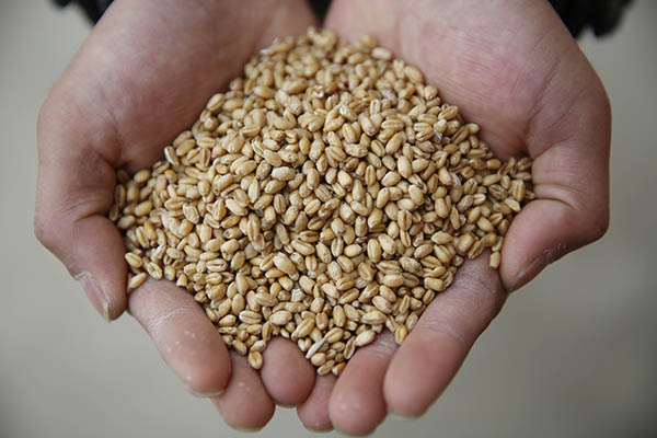 117գںʡƽɽбؽ۳Աչʾ۵СԭϣЩԭɸ߽С4ŵƷ־Ƚ϶ɡ