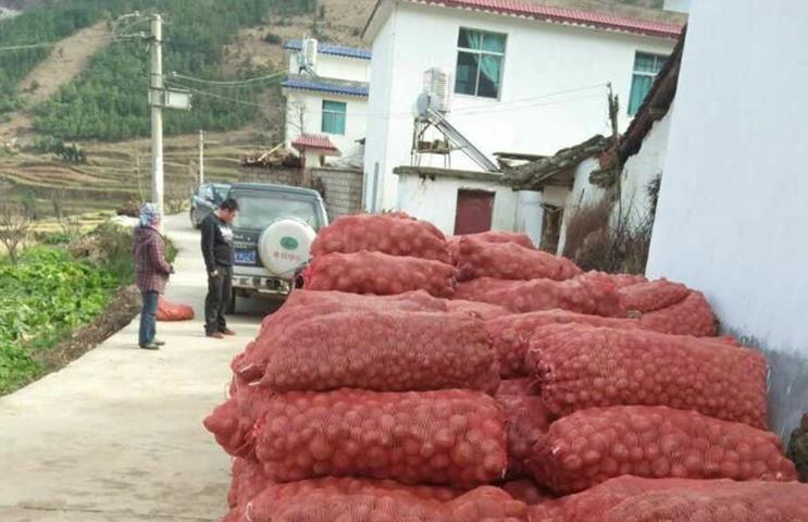 ��������������³�ɴ�����������ʾ�����Գ�Ч