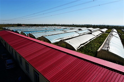 ���ɹ������2015��ũ��ҵ��������