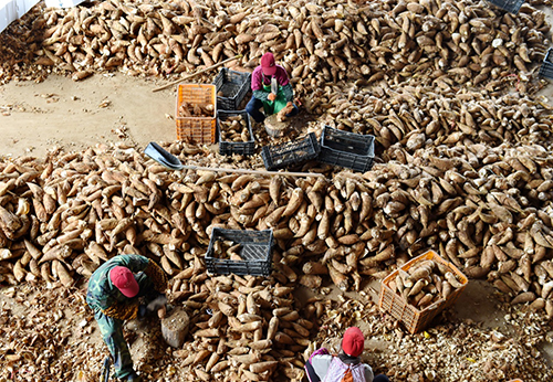 Ҽʾ硰ƽ߲רҵ硱Աںּ120㣩