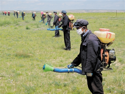 青海:生态优先贯彻农牧业发展2
