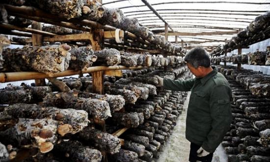 �������ʳ�þ���ҵͻ��1600��Ԫ