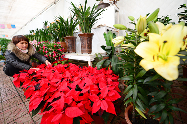 120գӱʡӼִ廨ũԼʻܡ