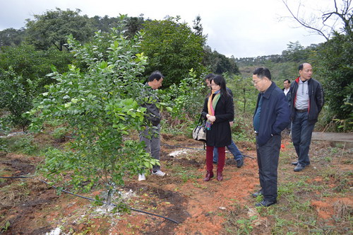 㶫ƸƳũҵľٴŻֲҵṹٽũҵҵչ