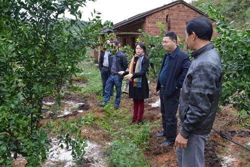 㶫ƸƳֲ̽ʾءʡũҵʾ㽨Ч