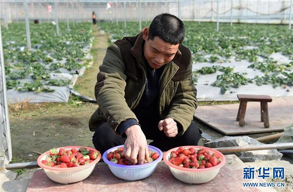 ˰ϹũջֲĲݮ124㣩