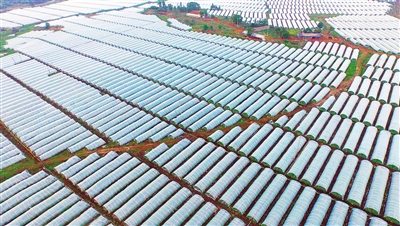 �������ݣ�ǧĶ�ĵر��԰