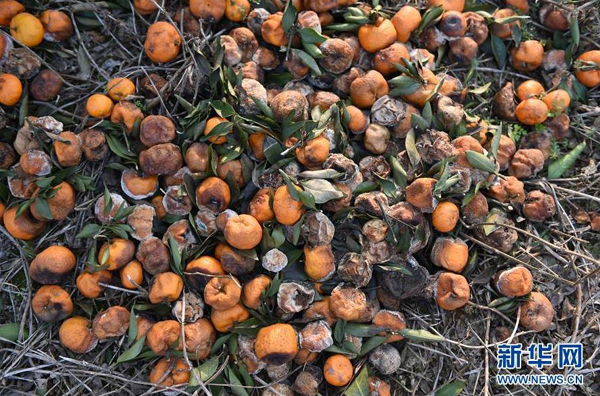 �����˰��أ������ˣ���ǧ�������ȴ���ڵ���