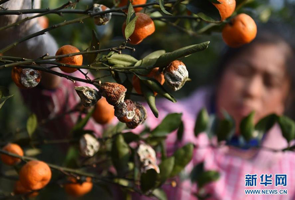 �ڹ����˰��ؽ���������壬һ������鿴���ڹ����ϵ����٣�1��24���㣩��