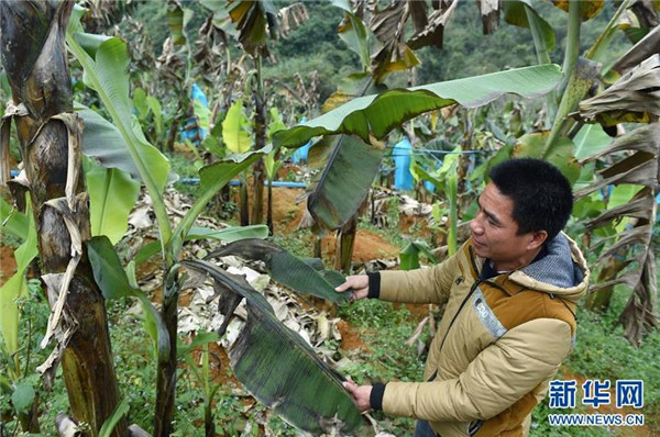 125գ¡Ŵ壬㽶ز鿴