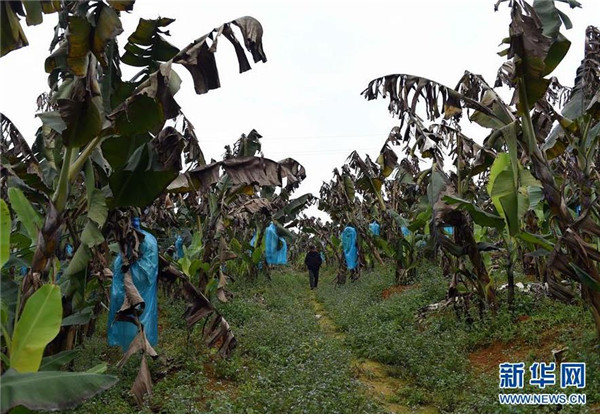 125գ¡Ŵ壬ũҵּԱ㽶ز鿴