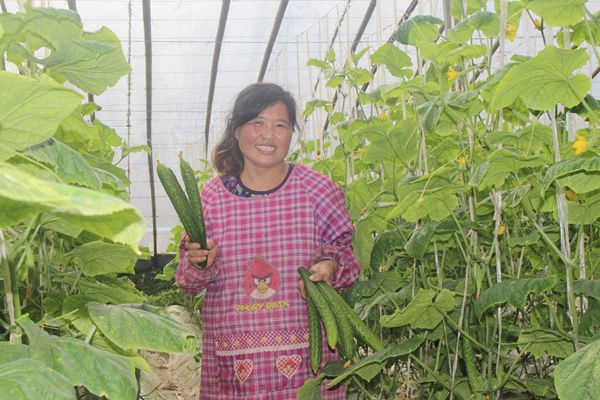 ���պ������۳������һƹ���ũ���¸�