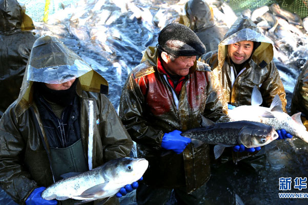 ڷּͬĳƷ㣬ŵС㣬ҵϢ