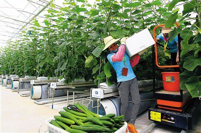 ������ɫũҵ���ͻ��