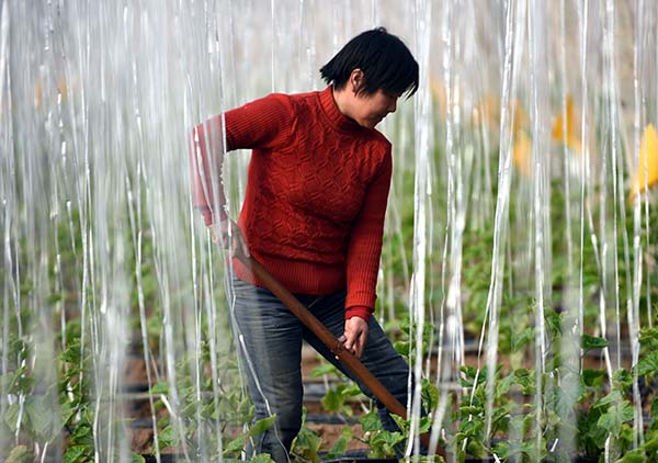 128գӱʡش纣ִũҵ԰Ϊƹз¡