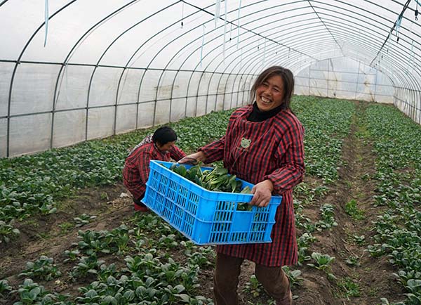 127գũݽ߹ҵ԰Ĵջ߲ˣ׼С