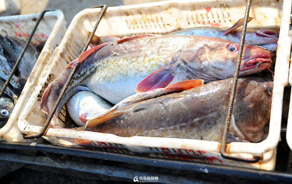 ɽൺ洬ͷȷ ÿ10Ԫϰ