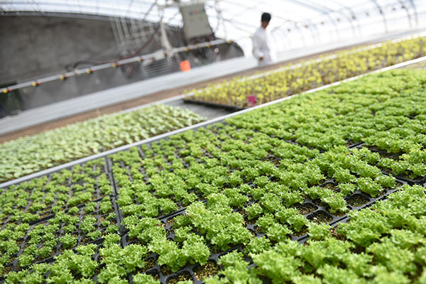 128գһƺӲʾصĹԱҲ鿴߲˳ơ