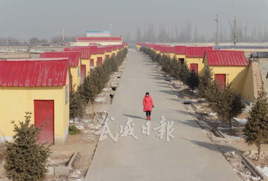 甘肃武威凉州区羊下坝镇五沟出口农产品生产基地