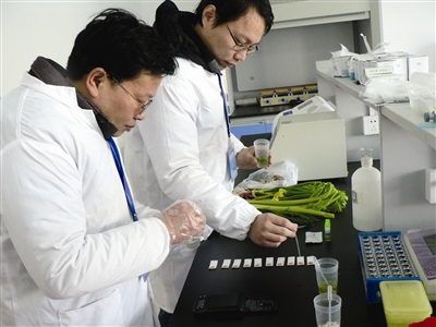 安徽巢湖“菜篮子”市场抽检均合格