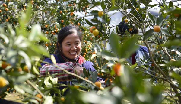 촨ضǰ򣬲ժڹ԰ڲժ٣218㣩