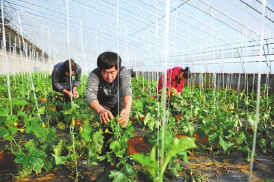 ������������������+��ũҵ ������������