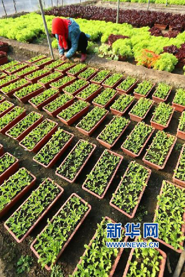 221գɽīƷֲũڴԿĲˡ