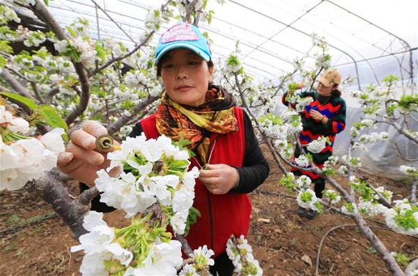 223գũǰϣůΪӣһ˹ڷۡ