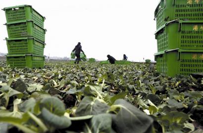 ִũҵۺϸĸʾڵĹ߲˻ء