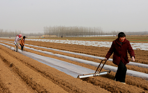 223գɽʡ޳пׯǰٴ䣨ǰΪ¢Ĥ