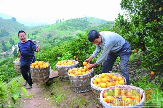 ֱʣ츢ѸٴɹǸũҵҵ